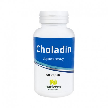 Normální hladina cholesterolu