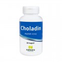 Normální hladina cholesterolu